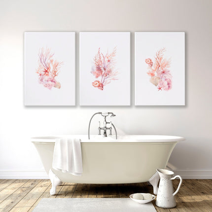 Framed Pictures For The Bathroom | Set of 3 Seashells Wall art Prints