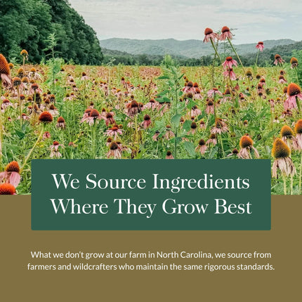 Gaia Herbs Emotional Balance - Stress Support - 60 Vegan Liquid Phyto-Capsules