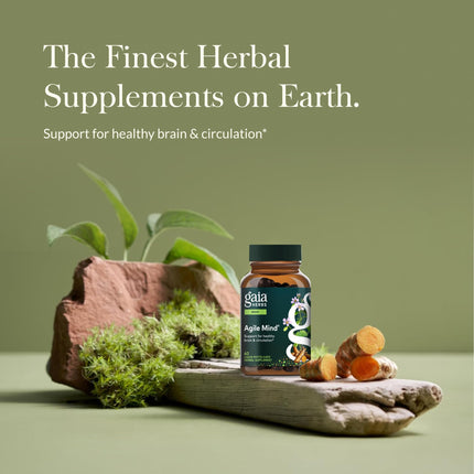 Gaia Herbs Agile Mind – Brain Support with Turmeric, Bacopa, Black Pepper & Ginkgo Biloba | 60 Vegan Liquid Phyto-Capsules