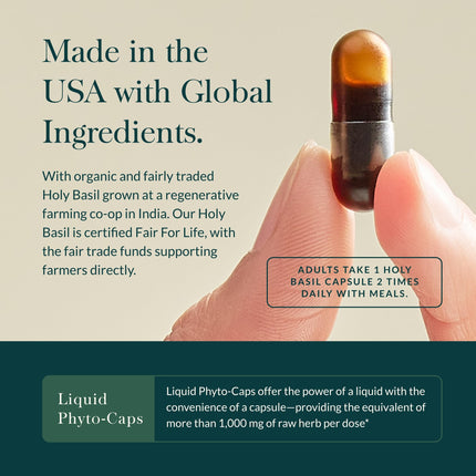 Gaia Herbs Holy Basil Leaf | Adaptogenic Ayurvedic Stress Support | 120 Vegan Liquid Phyto-Caps (60 Servings)