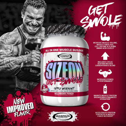 Gaspari SizeOn – Hybrid Intra-Workout Amino Acids & Creatine for Muscle Size & Recovery (3.59 lb Raspberry)