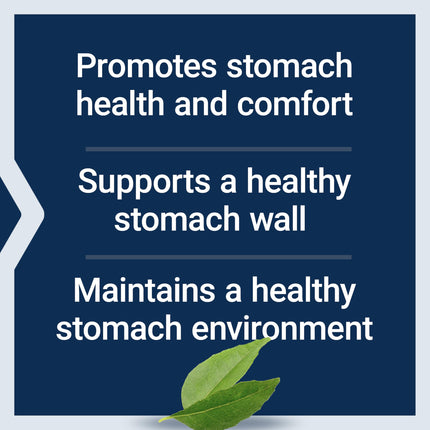Gastro-Ease: Zinc L-Carnosine & Pylopass Probiotics for Digestive Comfort – 60 Vegetarian Capsules