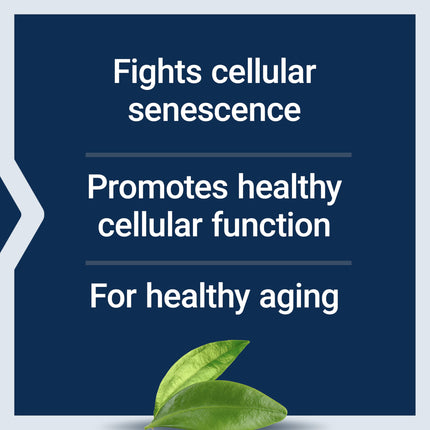 GEROPROTECT Ageless Cell – Cellular Health & Healthy Aging (30 Gluten-Free Softgels) | Life Extension