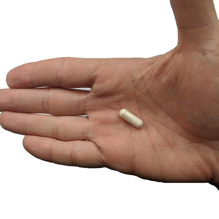 Premium Probiotic + Ultimate Prebiotic – Gut Biome Builder (4.4B CFU, Bacillus Subtilis)