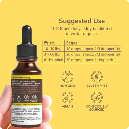Grama Wellness Organic Echinacea Goldenseal Tincture - Immune Support, Alcohol-Free, 30 Servings
