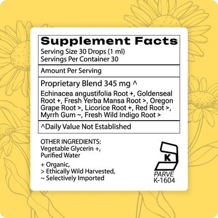 Grama Wellness Organic Echinacea Goldenseal Tincture - Immune Support, Alcohol-Free, 30 Servings
