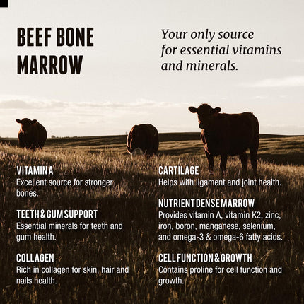 Grass Fed Beef Bone Marrow Supplement – 200 Count | New Zealand Sourced