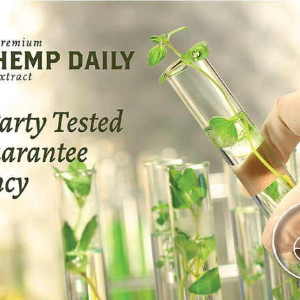 Hemp Daily Active Spray – Organic Hemp Oil with Essential Oils | 2 oz each | 3 Pack | Vegan & Cruelty-Free | THC-Free