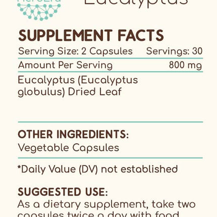 HerbEra Eucalyptus 60 Capsules (400 mg each) - Pack of 2