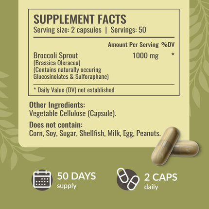 HERBAMAMA Broccoli Sprouts Capsules – 1000mg Broccoli Sprout Extract, Vegan & Non-GMO | Immune & Antioxidant Support (Pack of 2)