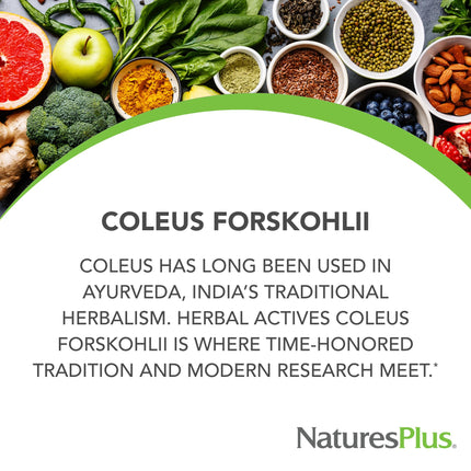 NaturesPlus Herbal Actives Coleus Forskohlii - 60 Vegetarian Capsules - Gluten Free - 60 Servings