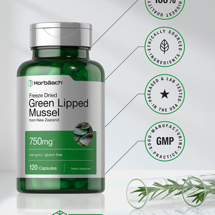 Horbäach Green Lipped Mussel 750 mg - 120 Capsules - New Zealand - Premium Freeze-Dried Mussel Powder - Non-GMO & Gluten Free (Pack of 2)