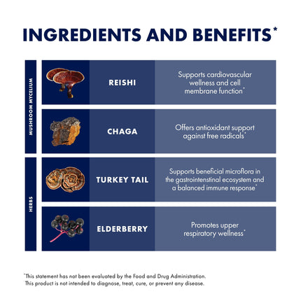 Host Defense Elderberry Plus Syrup - Immune & Respiratory Support Mushroom Supplement with Turkey Tail, Reishi, Agarikon & Chaga | 4 fl oz (12 Servings) Pack of 2
