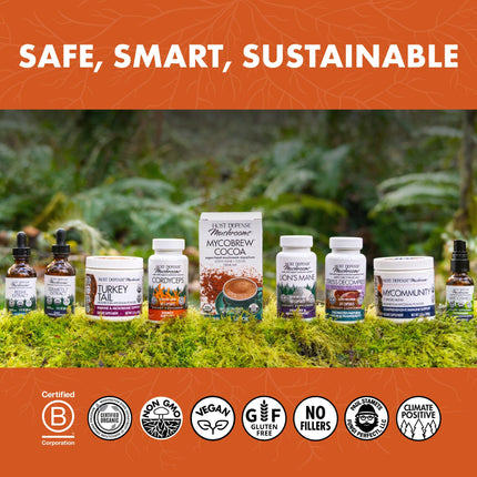 Host Defense MycoBotanicals Energy Capsules – Energy & Respiratory Support (Cordyceps, Reishi & Chaga) – 60 Capsules