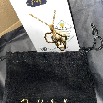 Africa ‘Heart of a Lion' Necklace
