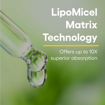 Natural Factors Quercetin Lipomicel Matrix — Immune & Capillary Support