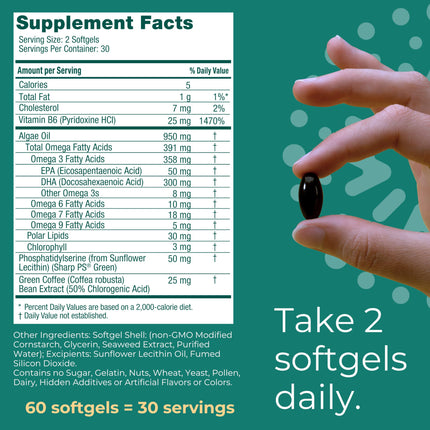Iwi Life Brain Omega-3 – 60 Softgels, Vegan Algae EPA+DHA for Focus, Memory & Mood