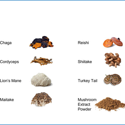 Jetsu Pure 7 Organic Mushroom Extract Powder, Chaga, Cordyceps, Lion's Mane, Maitake, Reishi, Shiitake & Turkey Tail Mushrooms Supplement, for Immune Support, Focus, Energy