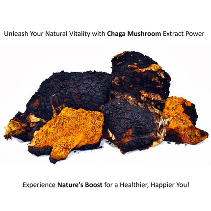 Jetsu Pure 7 Organic Mushroom Extract Powder, Chaga, Cordyceps, Lion's Mane, Maitake, Reishi, Shiitake & Turkey Tail Mushrooms Supplement, for Immune Support, Focus, Energy