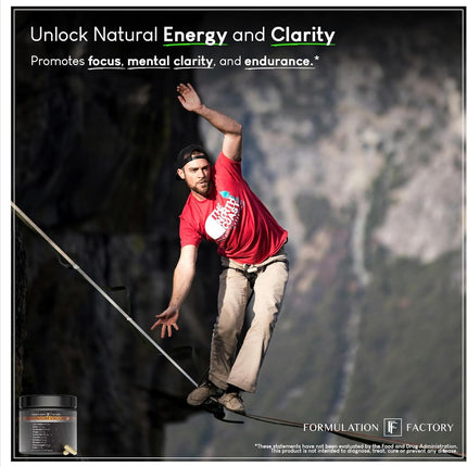 Formulation Factory Shroom Vroom 10-in-1 Mushroom Supplement — Focus, Energy & Immune Support