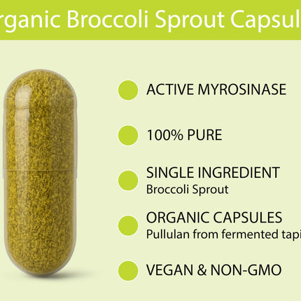 KOYAH Organic Broccoli Sprout Capsules – Freeze-Dried Whole Sprouts, Active Myrosinase & Glucoraphanin, USA Grown, 150 Capsules