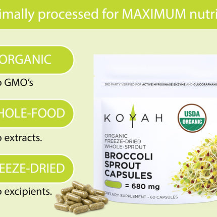 KOYAH Organic Broccoli Sprout Capsules – Freeze-Dried Whole Sprouts, Active Myrosinase & Glucoraphanin, USA Grown, 150 Capsules