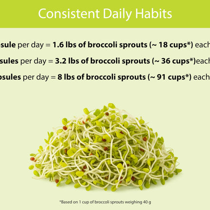 KOYAH Organic Broccoli Sprout Capsules – Freeze-Dried Whole Sprouts, Active Myrosinase & Glucoraphanin, USA Grown, 150 Capsules