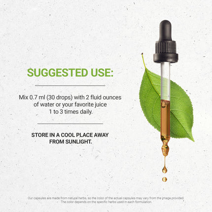 Wild Lettuce Tincture (Lactuca virosa) – High-Potency Herbal Drops, 4 oz | Secrets of the Tribe