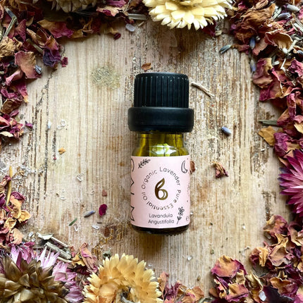 Lavender Organic Essential Oils UK