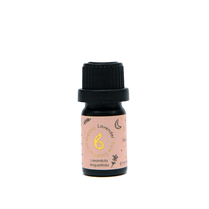 Rest Calm Essential Oil Set - Sleep & Hormone Balance