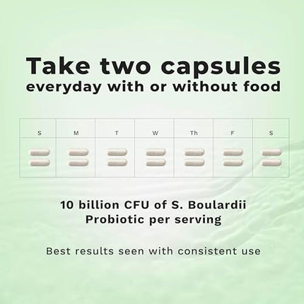 LifeSeasons Essentials S. Boulardii Probiotic – Immune & Digestive Support (60 Capsules)
