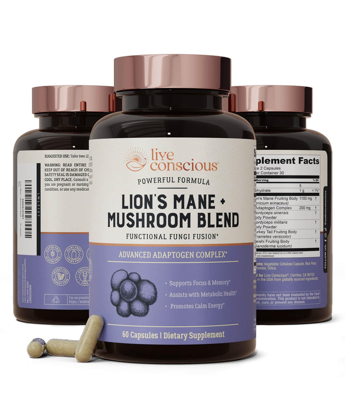 Live Conscious Lions Mane Mushroom Supplement Capsules for Brain Support - Lion's Mane, Cordyceps, Reishi & Turkey Tail