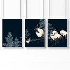 White Frame / A4 8.27 x 11.69 in / 21 x 29.7 cm / Satin Photo Paper 280 gsm