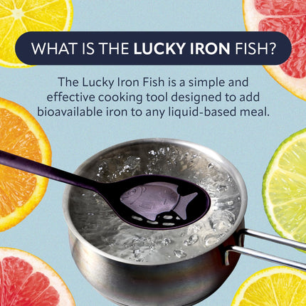 Lucky Iron Fish – The Original Daily Iron Fortification Tool (5-year supply included)