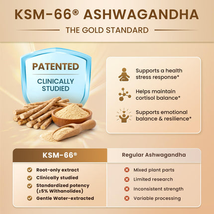 Lukaree 10-in-1 Cortisol Supplements – KSM-66 Ashwagandha + L-Theanine, 120 Caps (2 Pack)