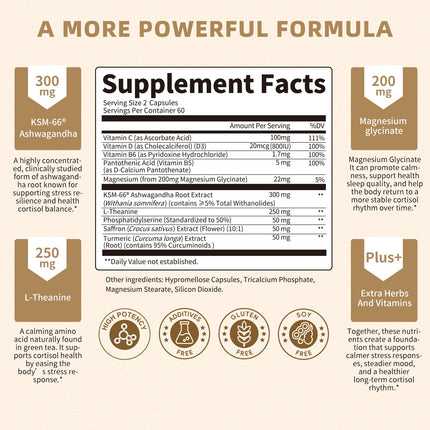 Lukaree 10-in-1 Cortisol Supplements – KSM-66 Ashwagandha + L-Theanine, 120 Caps (2 Pack)