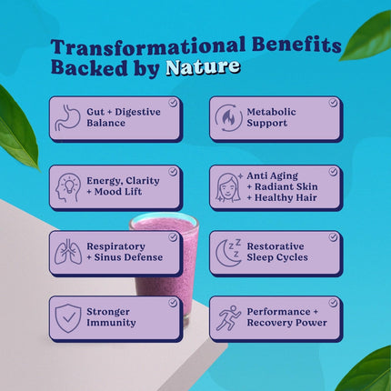 LUCI Colostrum, Collagen & Acai Powder | Gut Health, Immunity, Skin