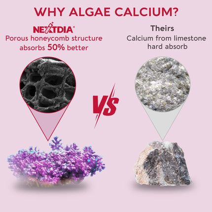 Methylated Multivitamin for Women Gummies – Vegan, Sugar Free, Calcium D3 K2, Iron, B12 | 60 Count