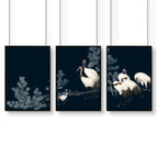 Black Frame / A4 8.27 x 11.69 in / 21 x 29.7 cm / Satin Photo Paper 280 gsm