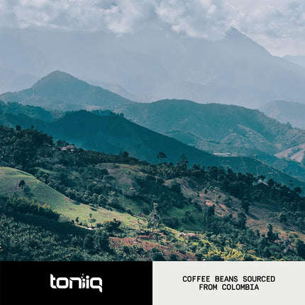 Mushroom Coffee 10:1 Extract | Colombian Beans, Lion's Mane & Cordyceps | Lab Tested