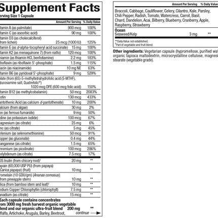 Natural Factors Whole Earth & Sea Women's Once A Day Multivitamin & Mineral - 60 Vegetarian Capsules