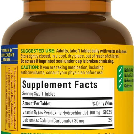 Nature Made Vitamin B-6 100 mg Tablets – 4-Pack (400 Tablets)