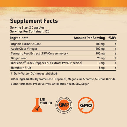 Nature's Base Turmeric & Ginger Supplement with Curcumin, ACV & BioPerine – 240 Capsules | 95% Curcuminoids