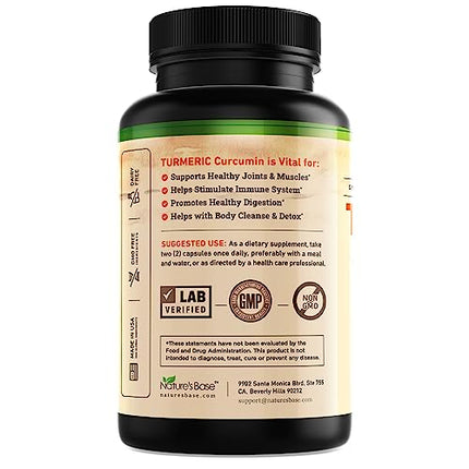 Nature's Base Turmeric & Ginger Supplement with Curcumin, ACV & BioPerine – 240 Capsules | 95% Curcuminoids