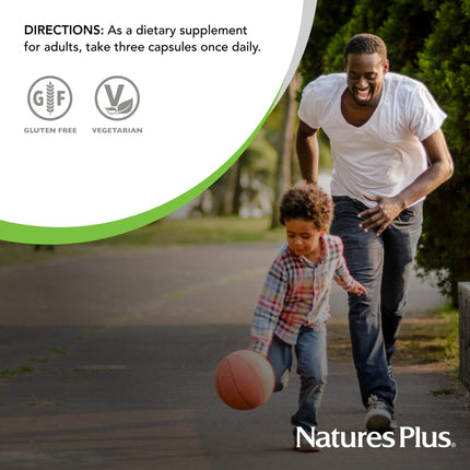 Natures Plus AgeLoss Hearing Support - 90 Capsules - Vegetarian & Gluten Free | 30 Servings