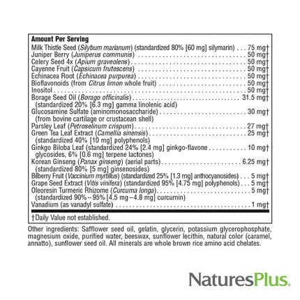 Natures Plus Regeneration Multivitamin - 90 Softgels | Potent Botanical Extracts, Minerals & Antioxidants | Gluten Free | 30 Servings