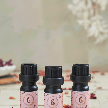 Rest Calm Essential Oil Set - Sleep & Hormone Balance