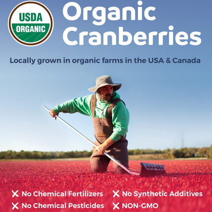 Organic Cranberry Pills 50:1 Concentrate – 25,000mg, Vegan, 60 Capsules