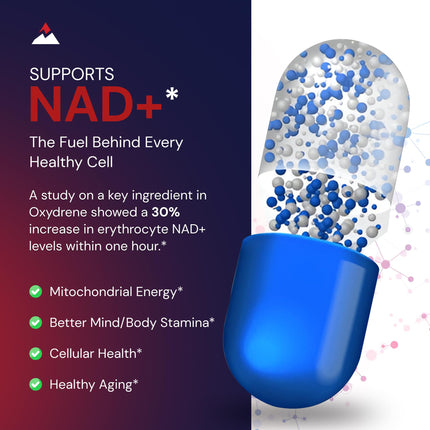 Novex Biotech Oxydrene NAD+ Enhancer – Metabolism & Cardiovascular Support (60 Capsules)