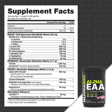 NutraBio Alpha EAA – All-Day Amino Acids for Recovery, Hydration & Focus | Dragon Fruit